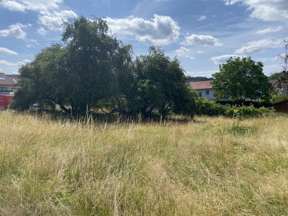 Ansicht 4 Wohngrundst�ck Tuttlingen
