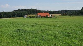 Hauptbild 20 Minuten/Bodensee - Landhaus H�chstes Niveau - Alleinlage - Platzwunder