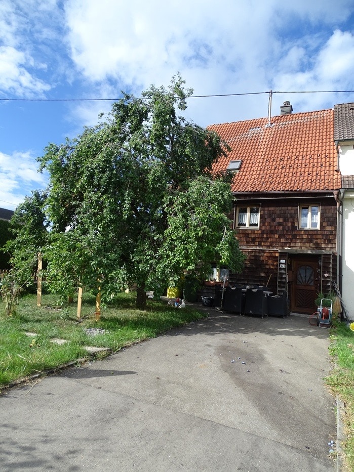 Zugang Haupthaus Einfamilienhaus Tuningen