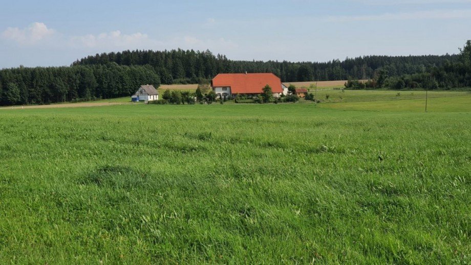 Traumhafte Alleinlage Einfamilienhaus Sauldorf