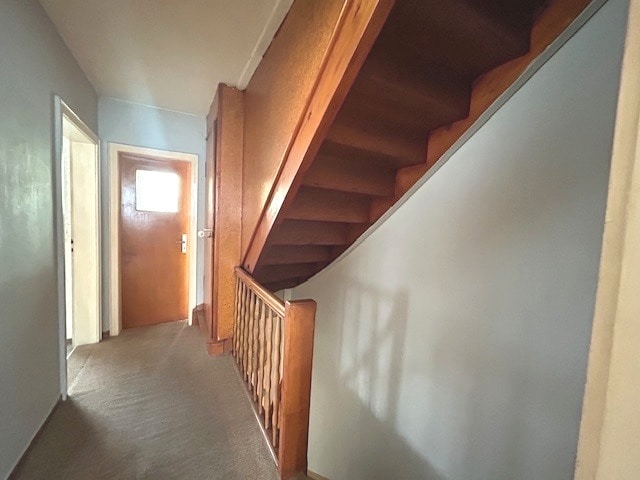  Doppelhaush�lfte Me�kirch