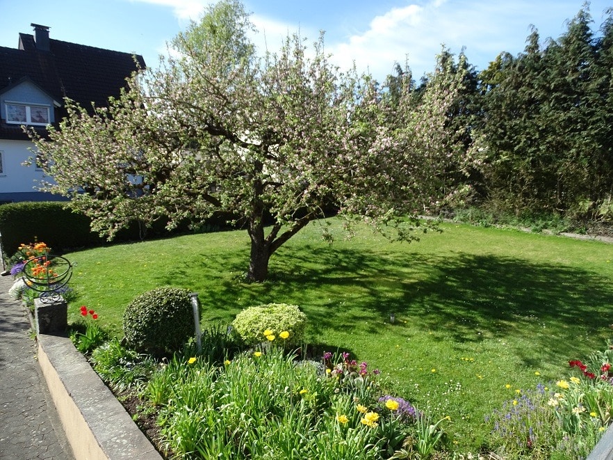 Garten Einfamilienhaus Tuningen
