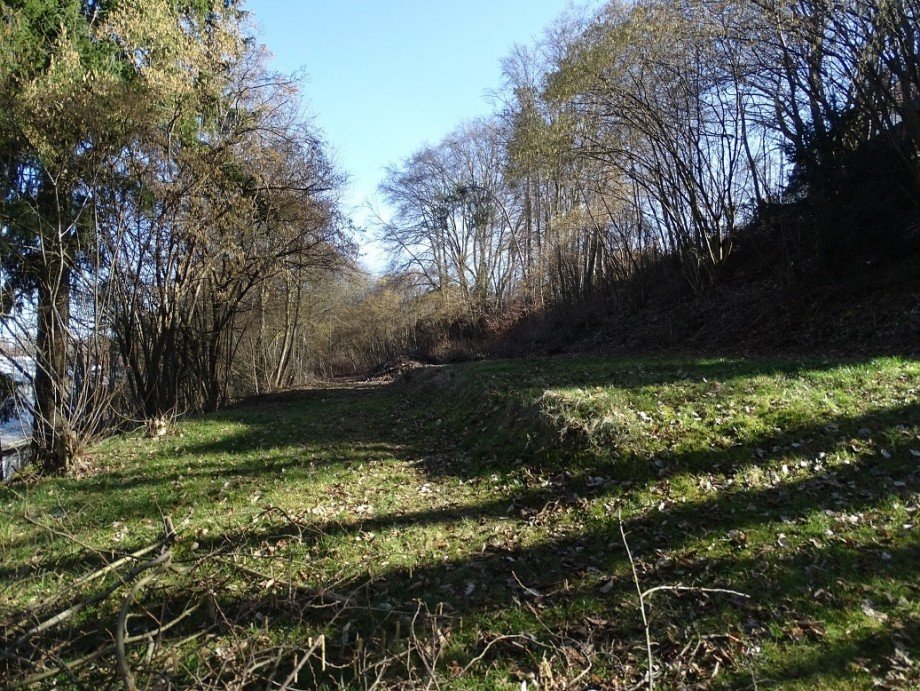 Grundst�ck Einfamilienhaus Donaueschingen
