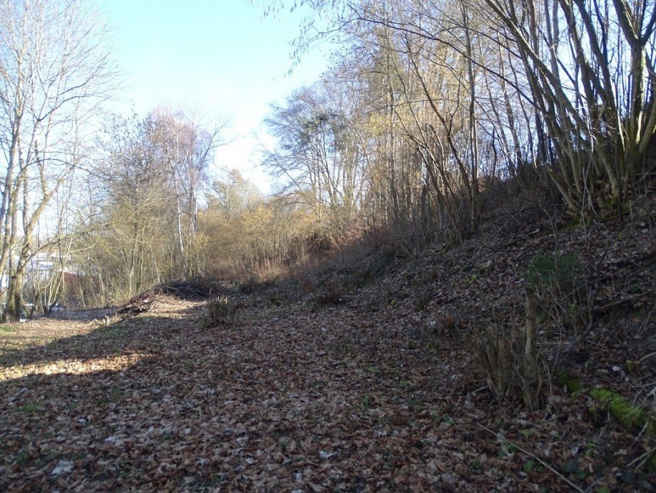 Grundst�ck Wohngrundst�ck Donaueschingen