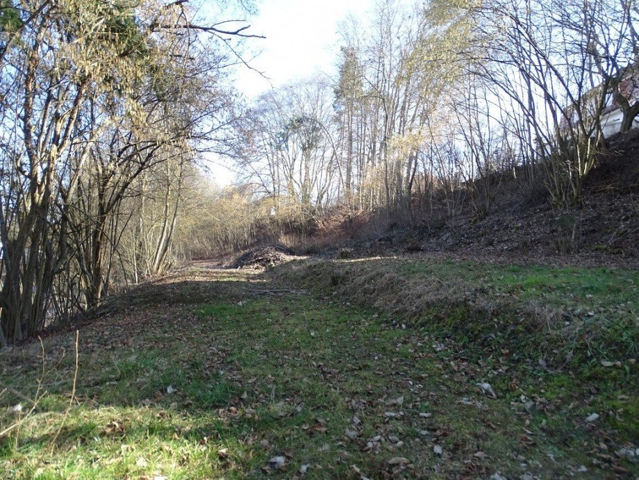 Grundst�ck Einfamilienhaus Donaueschingen