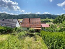 R�ckansicht Absolutes Raumwunder in Ortsrandlage in Reichenbach a. H.