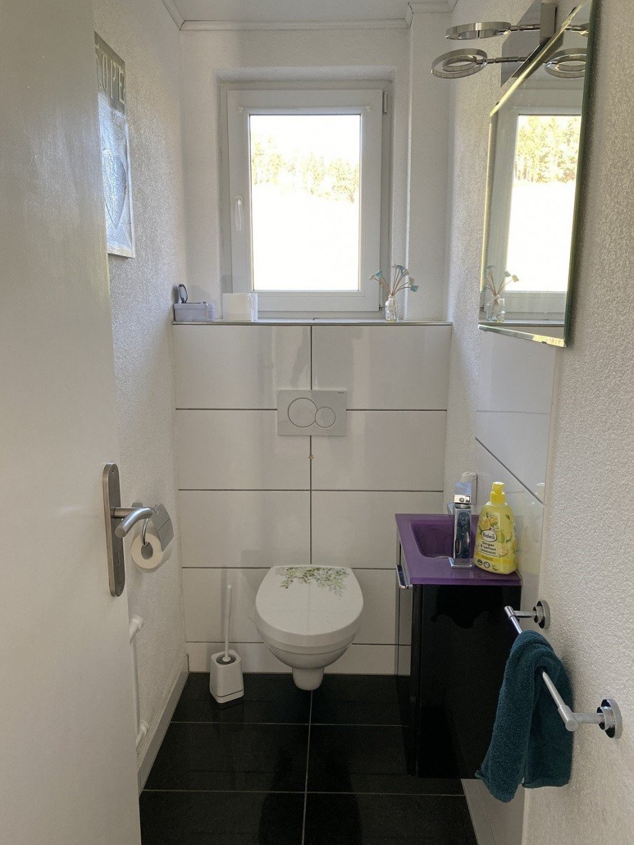 WC Einfamilienhaus Geisingen