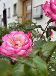  VERKAUFT - Stadtnahes Wohnen mit Garten