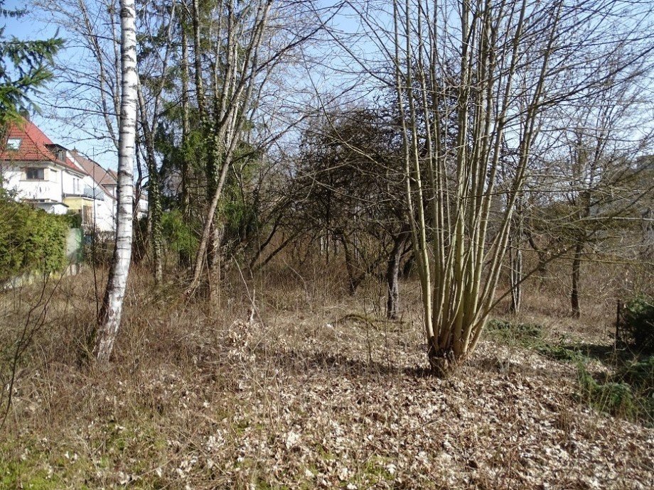 Garten Einfamilienhaus Villingen-Schwenningen