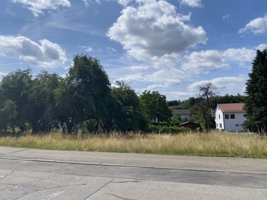 Ansicht 2 Wohngrundst�ck Tuttlingen